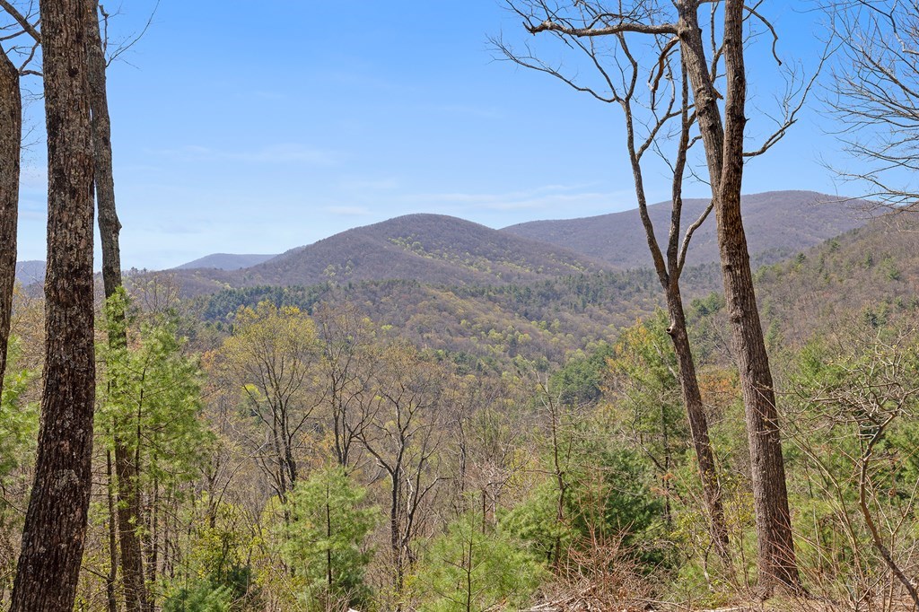 0 Big Creek Road Property Photo 18
