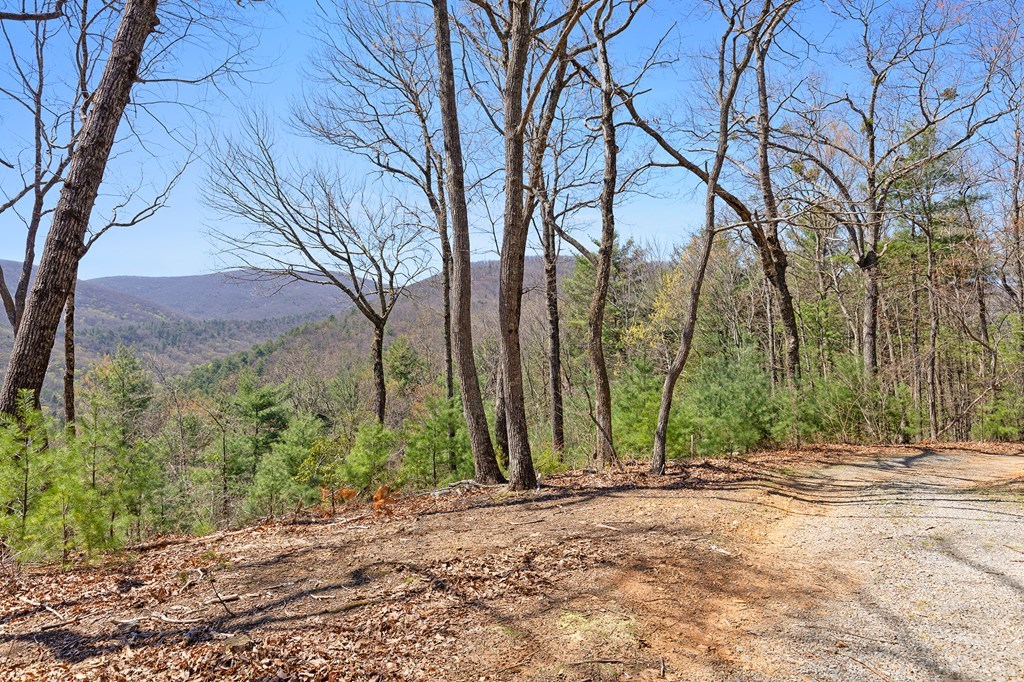 0 Big Creek Road Property Photo 19