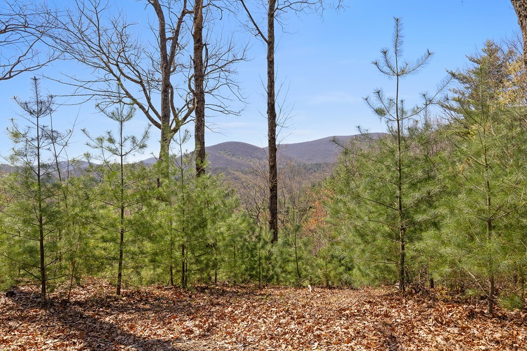 0 Big Creek Road Property Photo 21
