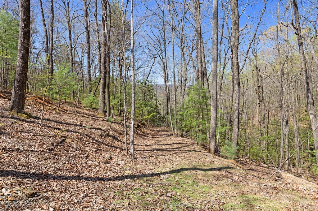 0 Big Creek Road Property Photo 23