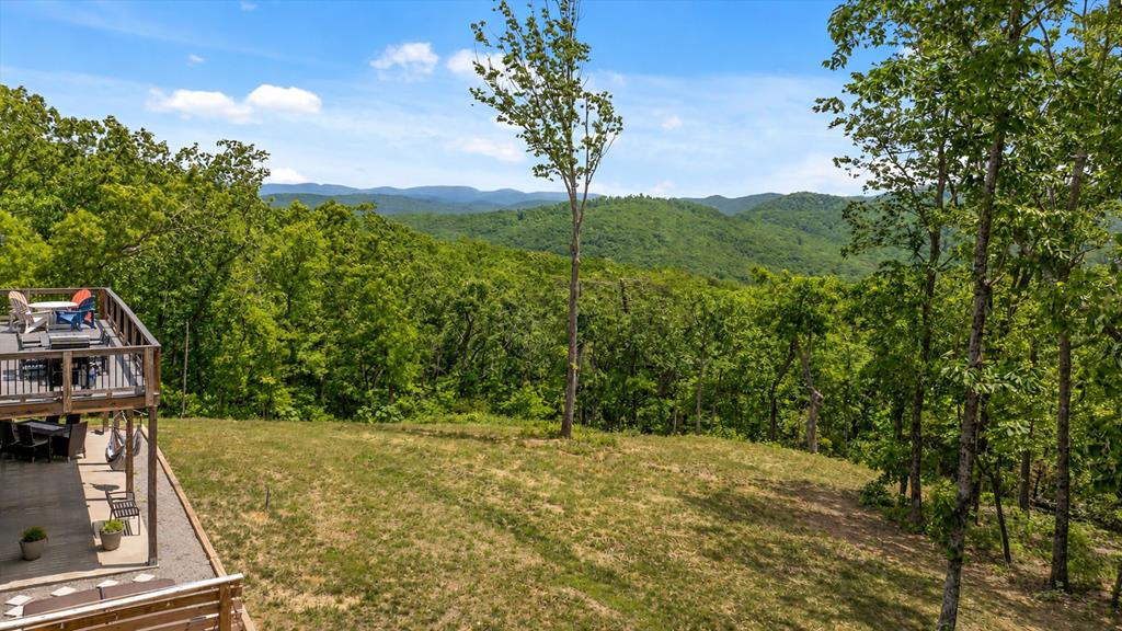 1722 High Summit Drive Property Photo 52