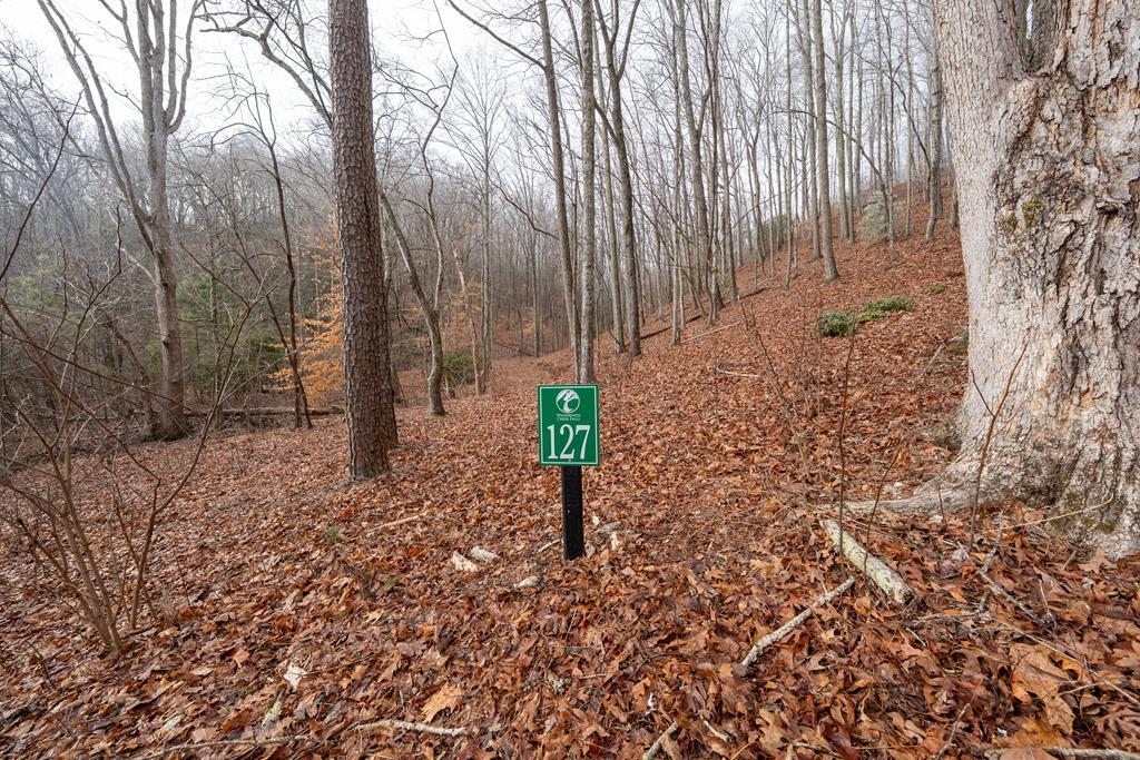 Lot 127 Timber Ridge Property Photo 1