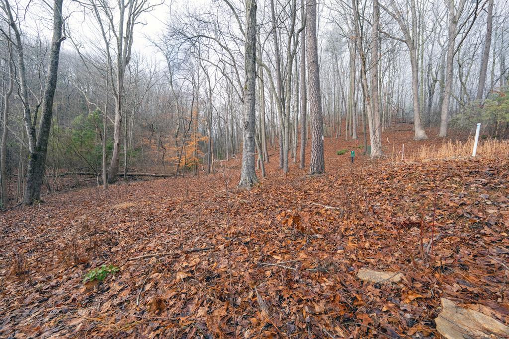 Lot 127 Timber Ridge Property Photo 2