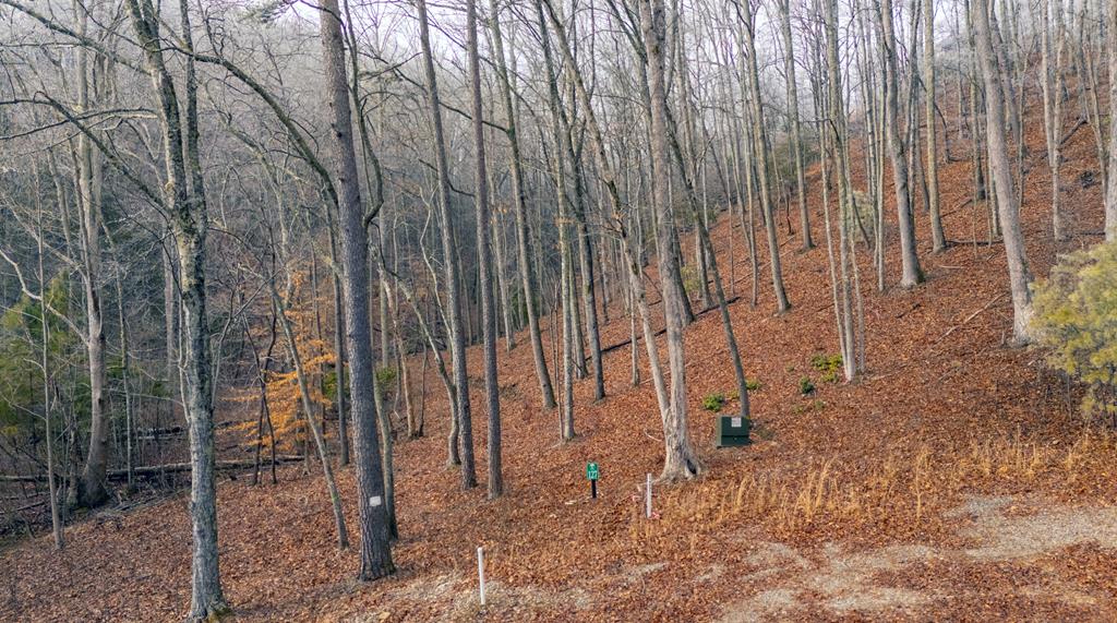 Lot 127 Timber Ridge Property Photo 3