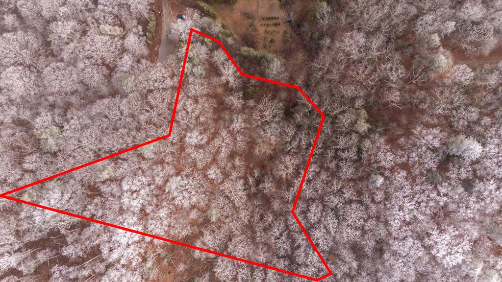 Lot 127 Timber Ridge Property Photo 6