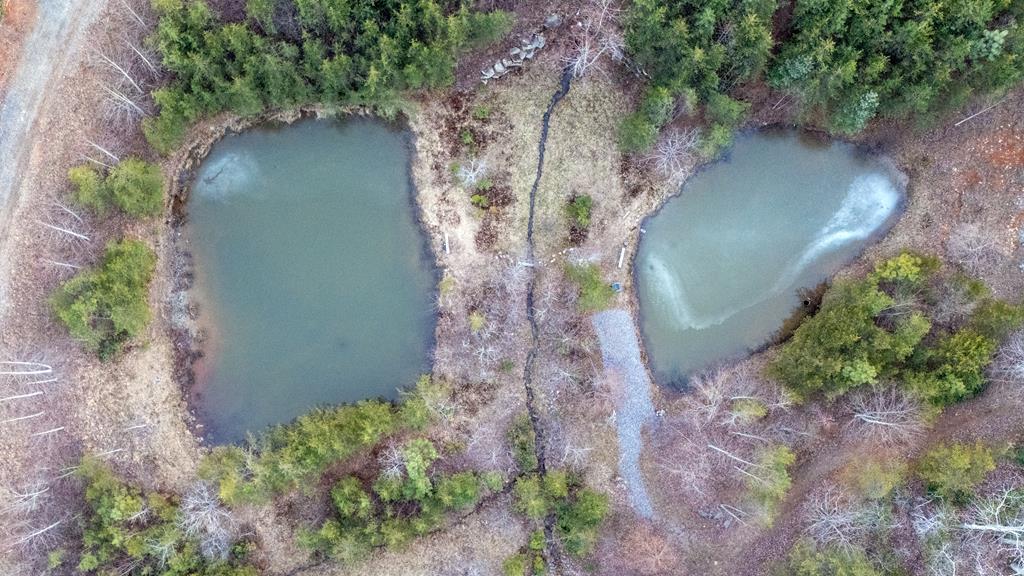 Lot 127 Timber Ridge Property Photo 12