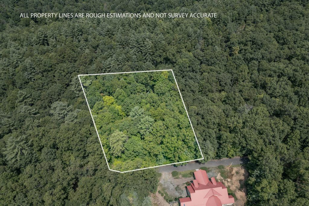 Lot 18 The Ridges Of Carolina Property Photo 1