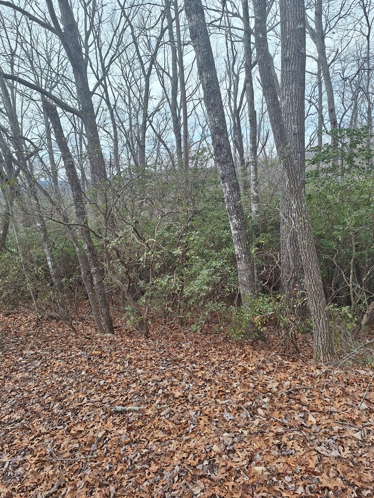 Lot 9 Cook Mountain Estate Property Photo 7