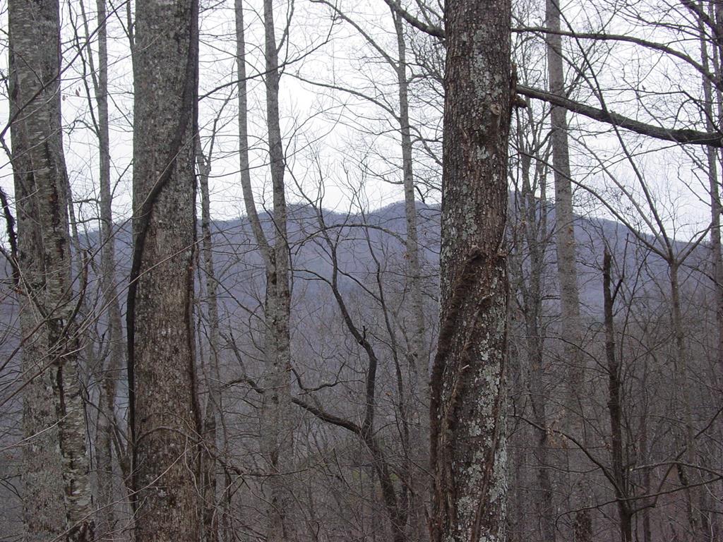 #17 Roaring Ridge Property Photo 1