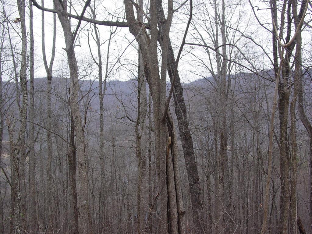 #16 Roaring Ridge Property Photo 1