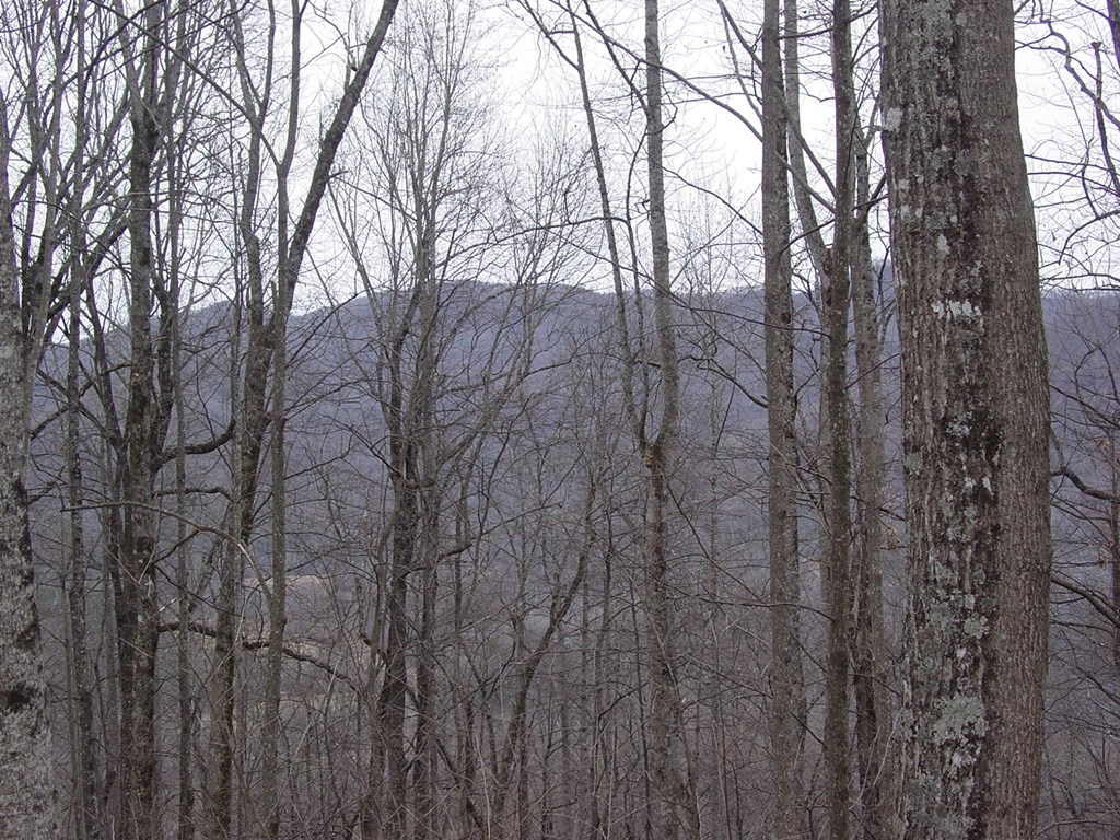 #16 Roaring Ridge Property Photo 3