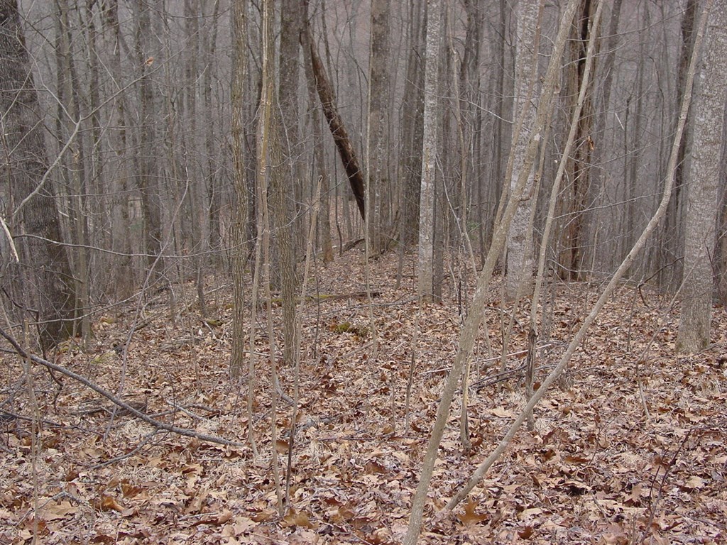 #16 Roaring Ridge Property Photo 4