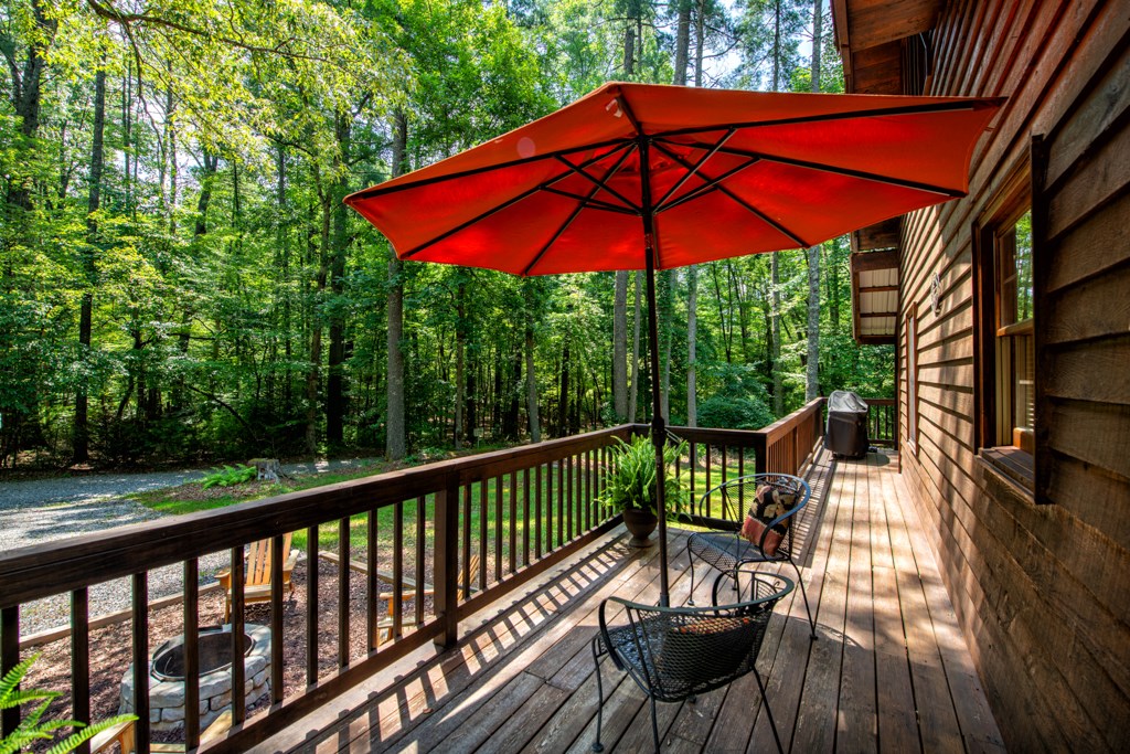 67 Big Tree Road Property Photo 7