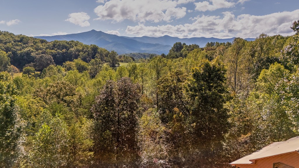 314 Ruby Ridge Property Photo 34