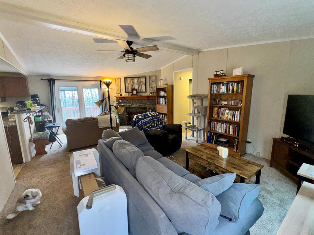 424 Mountain Oak Trail Property Photo 4