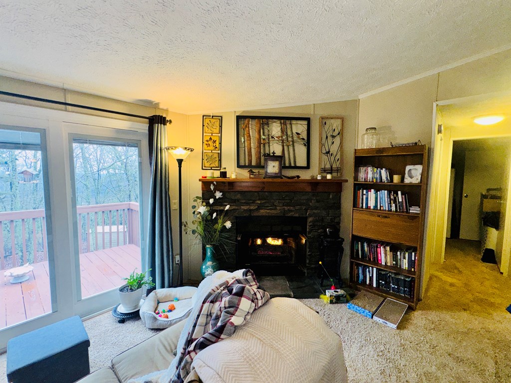 424 Mountain Oak Trail Property Photo 9