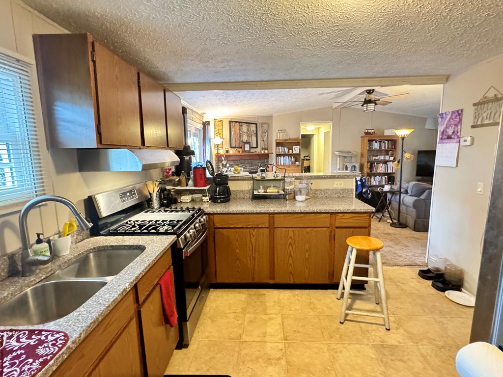 424 Mountain Oak Trail Property Photo 17