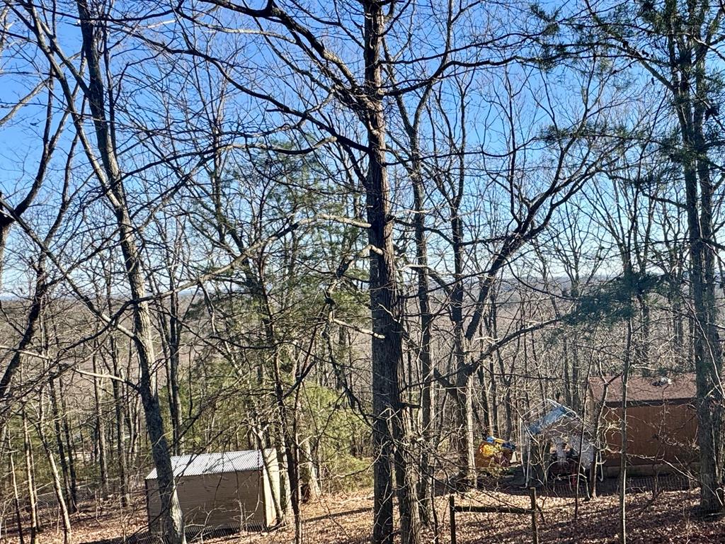 424 Mountain Oak Trail Property Photo 44