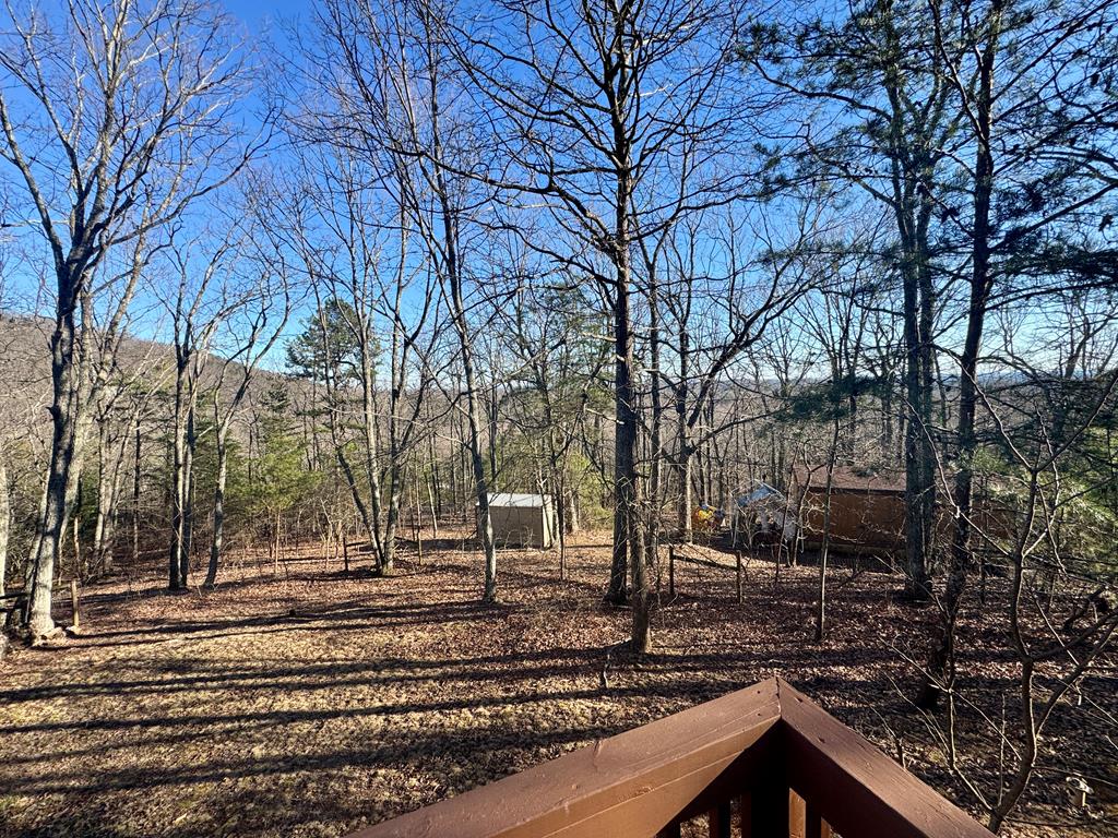 424 Mountain Oak Trail Property Photo 45