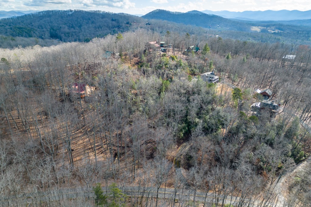 Lot 7 Squirrel Hunting Road Property Photo 3