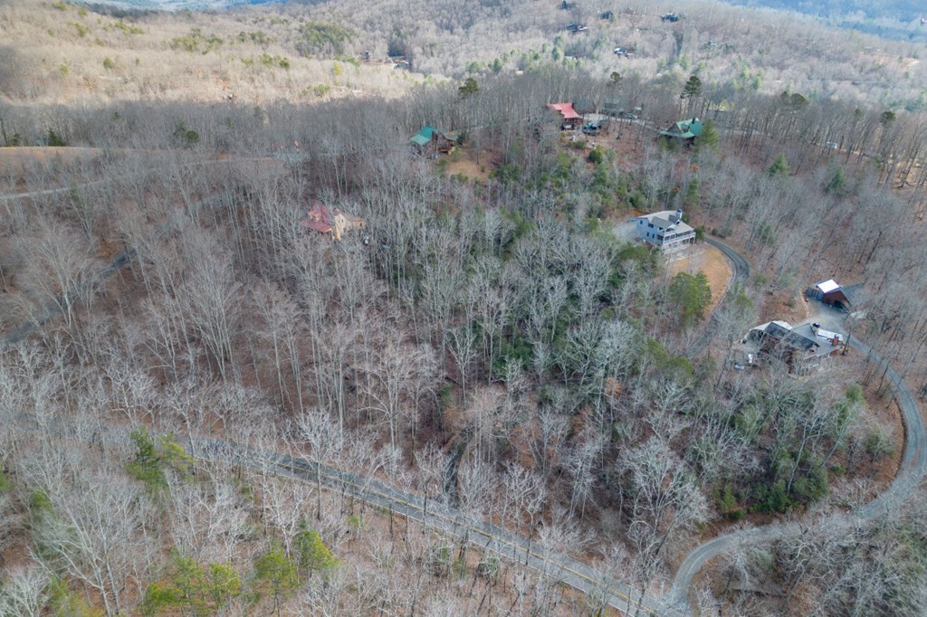 Lot 7 Squirrel Hunting Road Property Photo 4