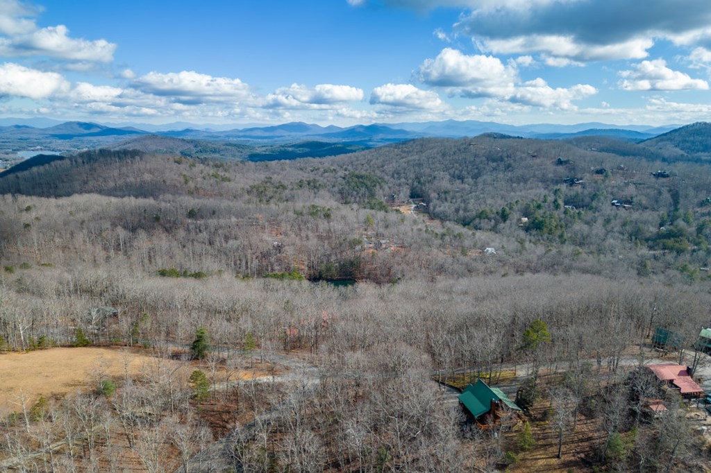 Lot 7 Squirrel Hunting Road Property Photo 7