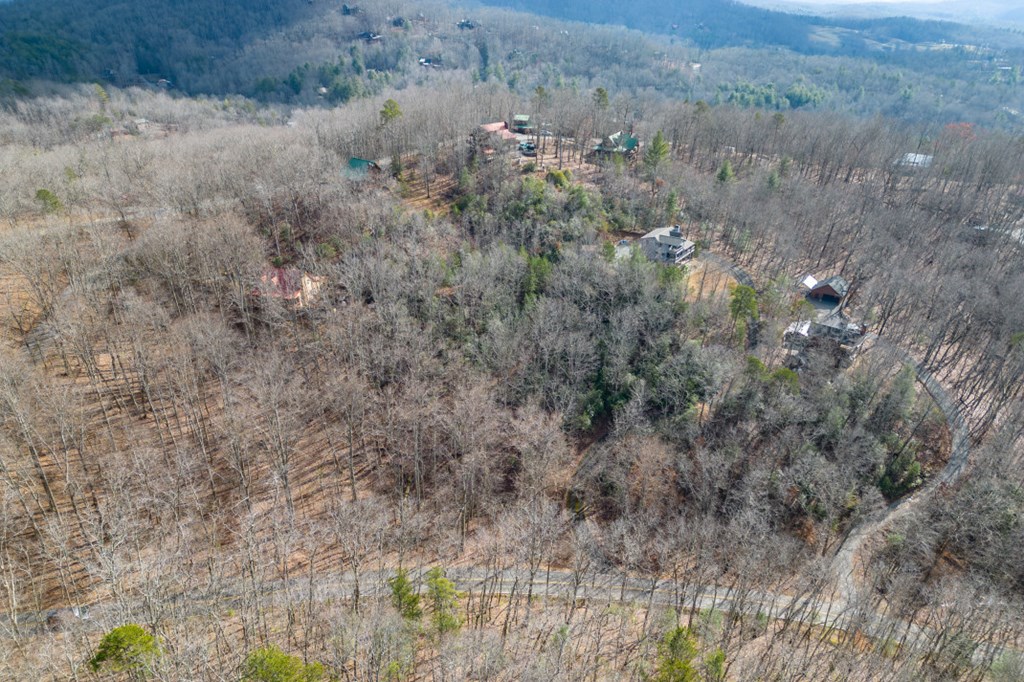 Lot 7 Squirrel Hunting Road Property Photo 8