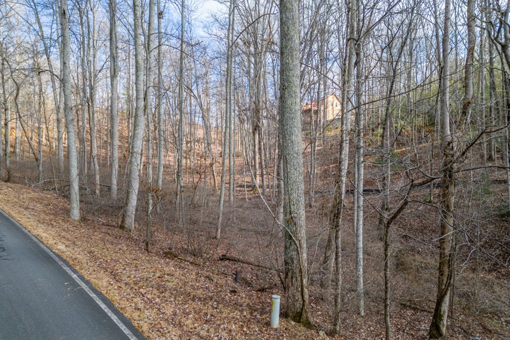 Lot 7 Squirrel Hunting Road Property Photo 9