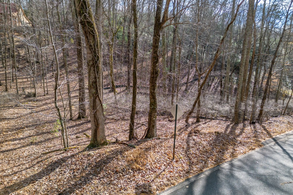 Lot 7 Squirrel Hunting Road Property Photo 10