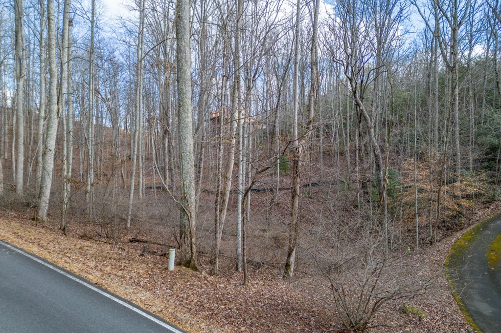 Lot 7 Squirrel Hunting Road Property Photo 11