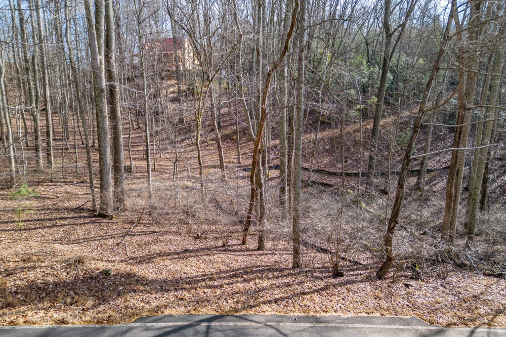 Lot 7 Squirrel Hunting Road Property Photo 12