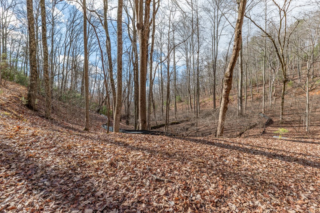 Lot 7 Squirrel Hunting Road Property Photo 13