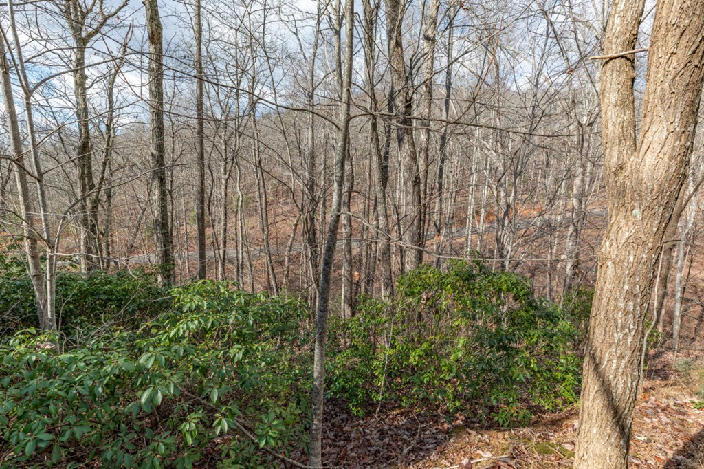 Lot 7 Squirrel Hunting Road Property Photo 14