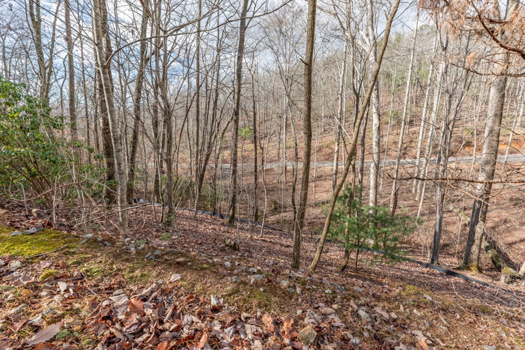 Lot 7 Squirrel Hunting Road Property Photo 15