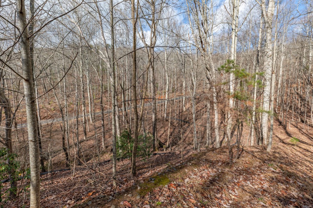 Lot 7 Squirrel Hunting Road Property Photo 16