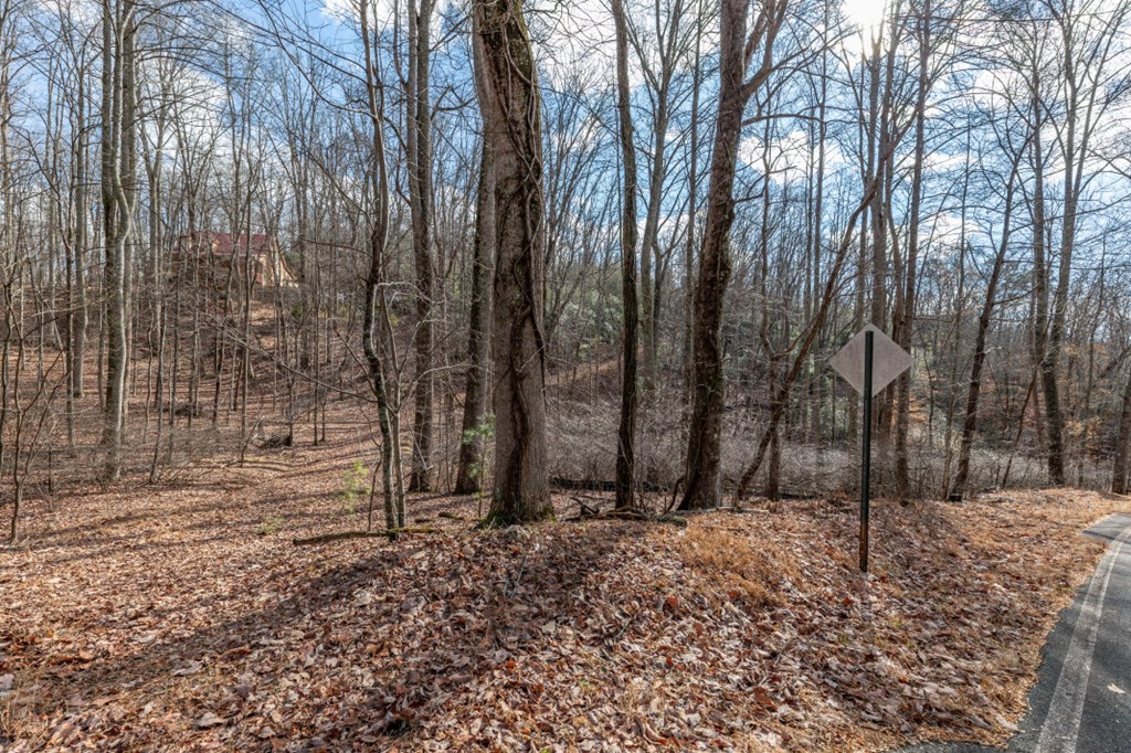 Lot 7 Squirrel Hunting Road Property Photo 17