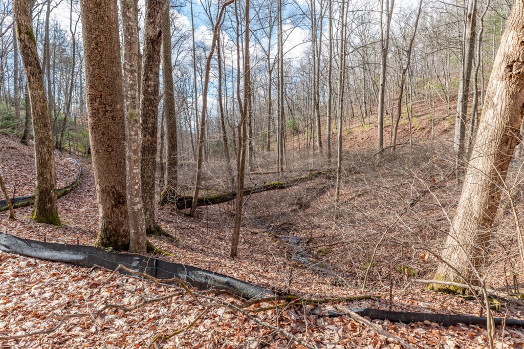 Lot 7 Squirrel Hunting Road Property Photo 18