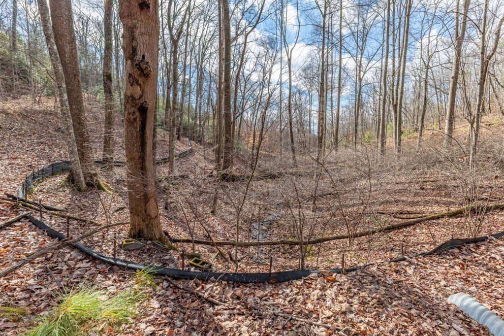 Lot 7 Squirrel Hunting Road Property Photo 19