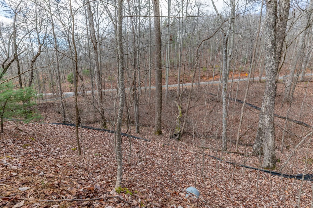 Lot 7 Squirrel Hunting Road Property Photo 20