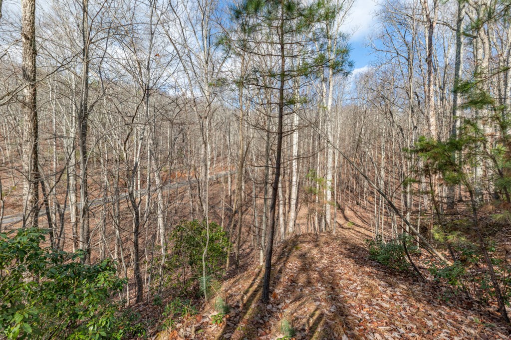 Lot 7 Squirrel Hunting Road Property Photo 21