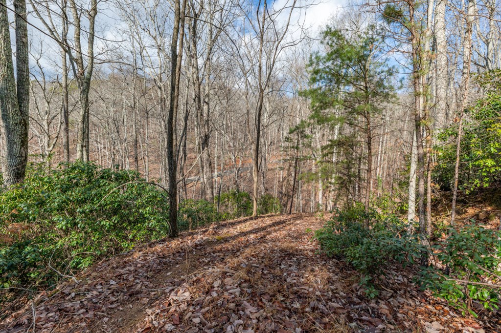 Lot 7 Squirrel Hunting Road Property Photo 22