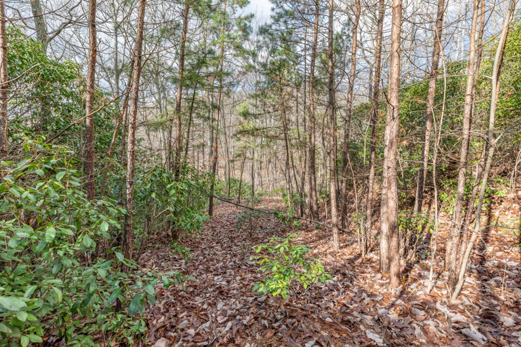 Lot 7 Squirrel Hunting Road Property Photo 23