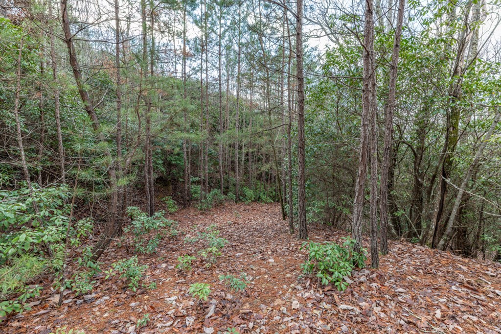 Lot 7 Squirrel Hunting Road Property Photo 24