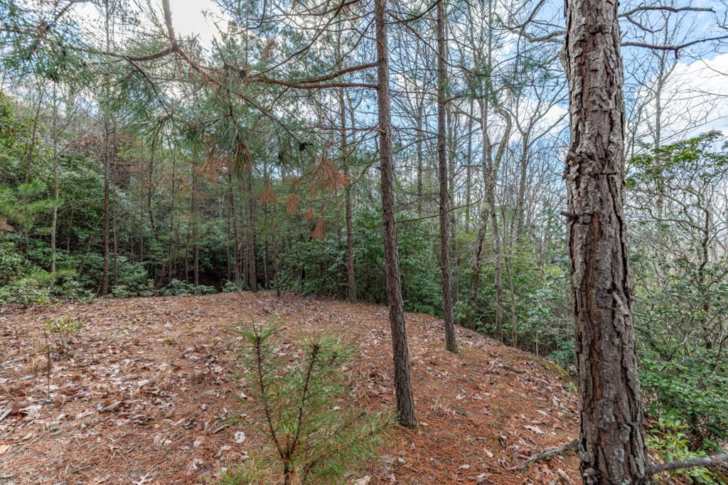 Lot 7 Squirrel Hunting Road Property Photo 25