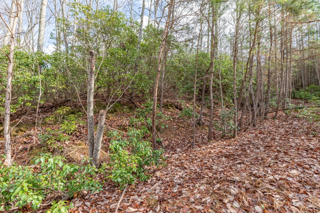 Lot 7 Squirrel Hunting Road Property Photo 27