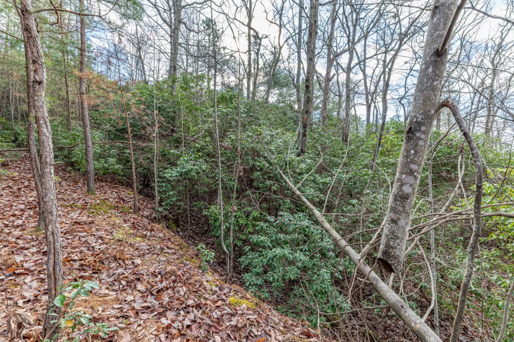 Lot 7 Squirrel Hunting Road Property Photo 28
