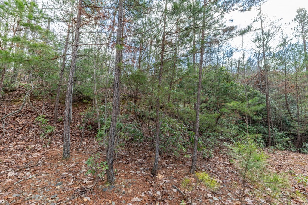 Lot 7 Squirrel Hunting Road Property Photo 29