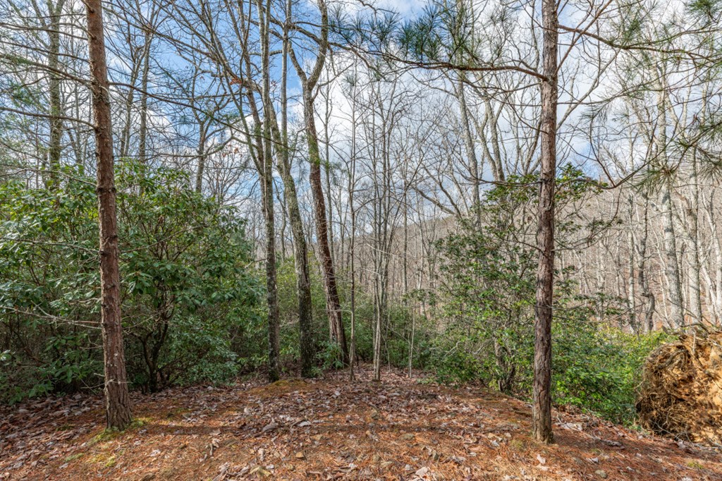Lot 7 Squirrel Hunting Road Property Photo 30