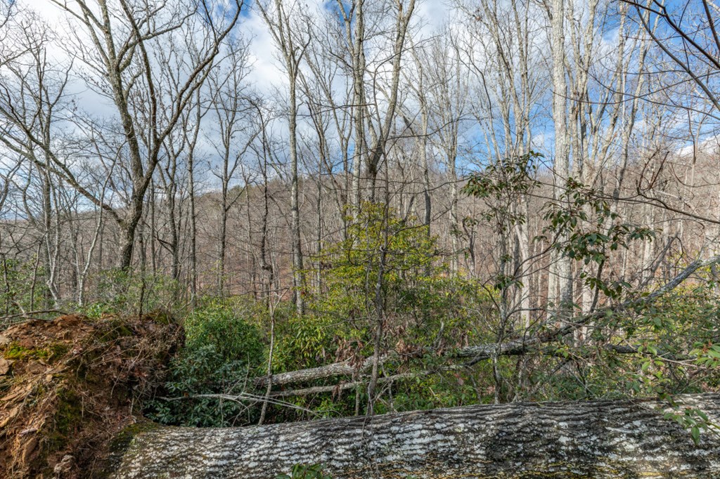 Lot 7 Squirrel Hunting Road Property Photo 31