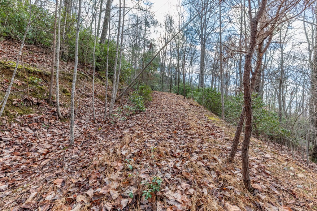 Lot 7 Squirrel Hunting Road Property Photo 32